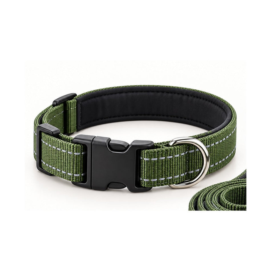 Collar ajustable para gato, sin marcas