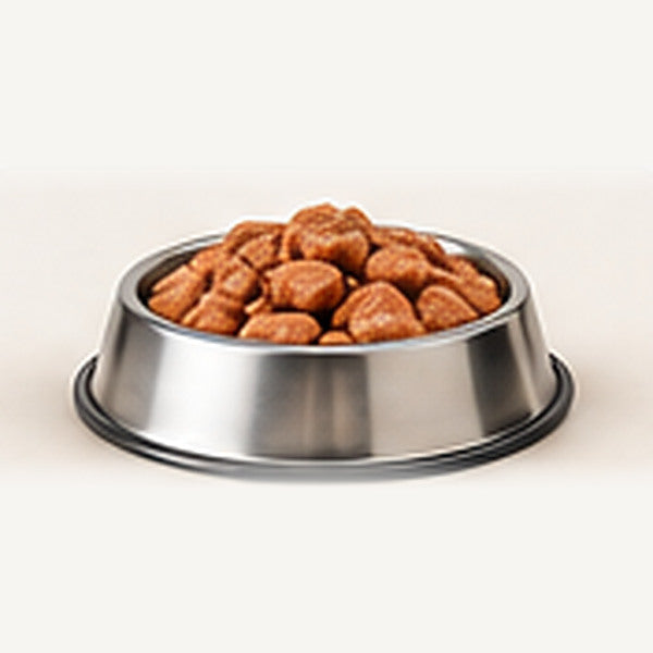 Comida húmeda para gatos con trozos de carne en un cuenco