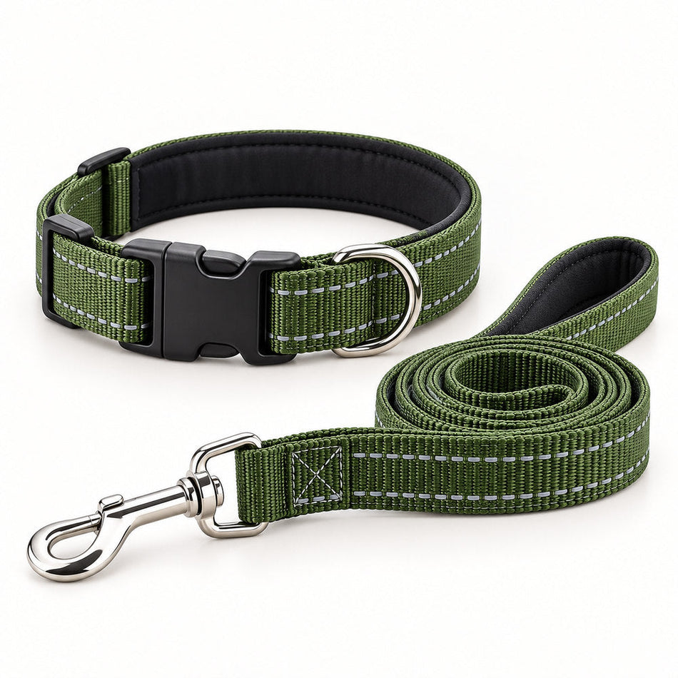 Collar y correa resistentes de color verde para perros