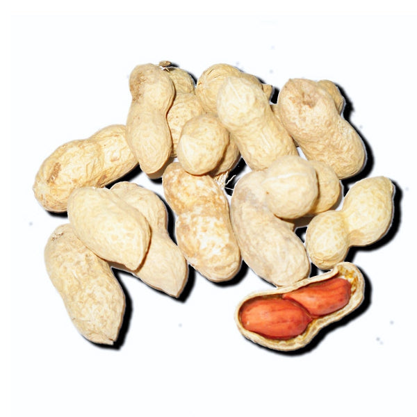 Cacahuete Natural con Cáscara 1 Kg (Granel) – Snack Crudo Sin Sal para Loros y Cotorras – Premio Ideal para Entrenamiento y Enriquecimiento