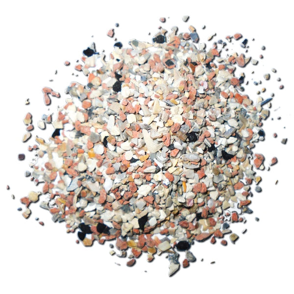 Grit para Canarios 1 Kg (Granel) – Suplemento Mineral Natural con Conchas Trituradas – Mejora la Digestión y Aporta Calcio para Huesos y Pico