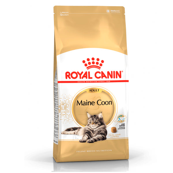 Royal Canin Maine Coon: comida especializada para raças gatos Maine Coon