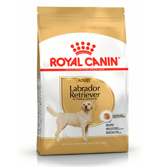 Royal Canin Labrador Retriever Adulto: Comida Especializada para Cães Adultos de Raza Labrador Retriever