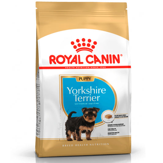 Filhote de Terrier Royal Canin Yorkshire: Fórmula Premium para Filhotes de Terrier de Yorkshire