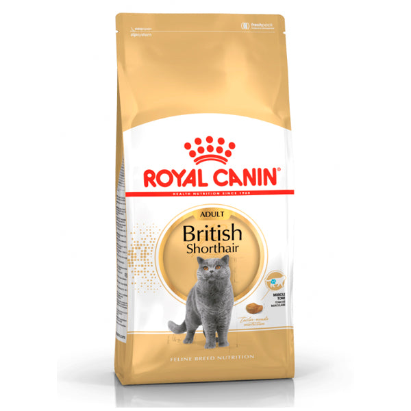 Royal Canin British Shorthair: Comida Especializada para British Shorthair Breed
