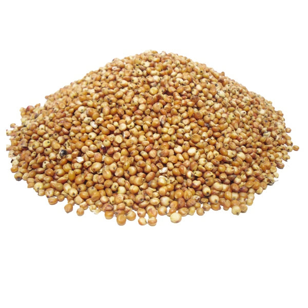 Semilla de Sorgo Rojo para Pájaros 1 Kg (Granel) – Energía Natural y Fácil Digestión – Rica en Fibra, Hierro y Zinc – Ideal para Canarios, Jilgueros, Exóticos y Aves de Corral