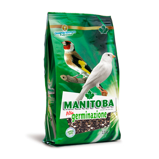 Manitoba Germinado Alta Germinação 2,5 kg