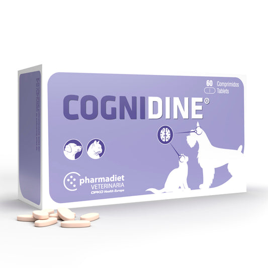 Pharmadiet Cognidina 60 comprimidos