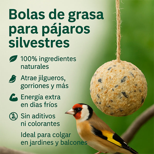 Wild Spirit - Bolas de grasa para pájaros, Paquete de 100 Unidades
