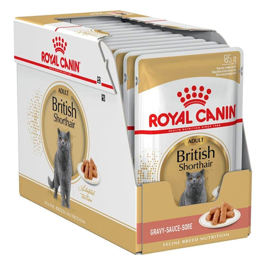 Royal Canin British Shorthair: Comida molhada especializada para a Corrida Britânica de Sherithair, 125g Envelope Pack