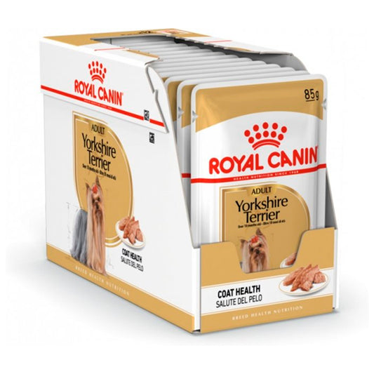 Royal Canin Yorkshire Terrier: comida molhada especializada para cães, pacote de 12 envelopes de 85gr