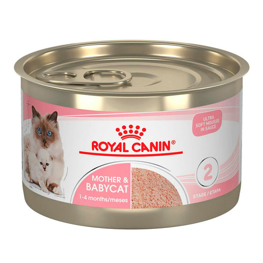 Royal Canin Mother & Baby Mousse: Comida molhada para mães e filhotes, 125 pacote crosy de 195 gr
