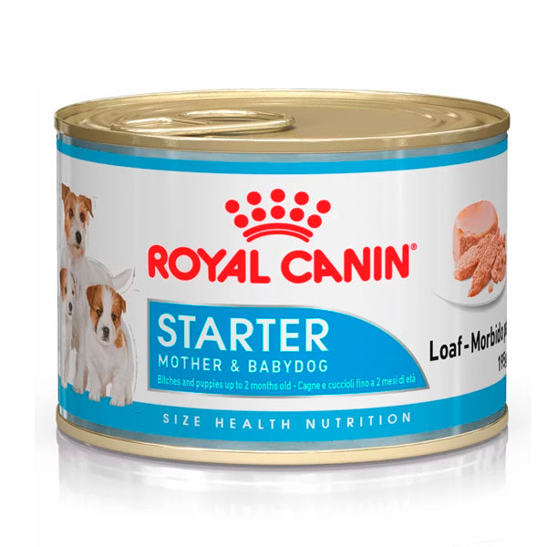 Royal Canin Starter Mousse: Comida molhada para filhotes de recém -nascidos, pacote de latas 125gr