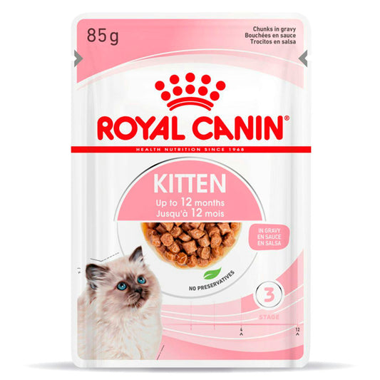 Royal Canin Kitten: alimentos molhados em molho de gatinhos, 125gr 12 Envelope Pack