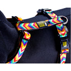 Vadigran Arneses Summertime M Cuello 36-58Cm Pecho 54-69Cm - Tujilguero