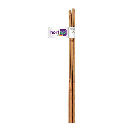 Flor Tutor Bambu Natural Diam 10-12 Mm 1,20M 3U