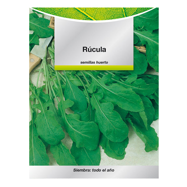 Semillas de Rúcula