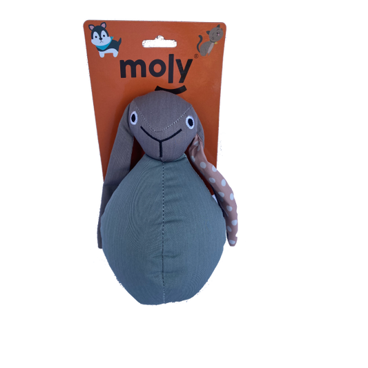 Moly Teddy Toy Várias Texturas Interativo